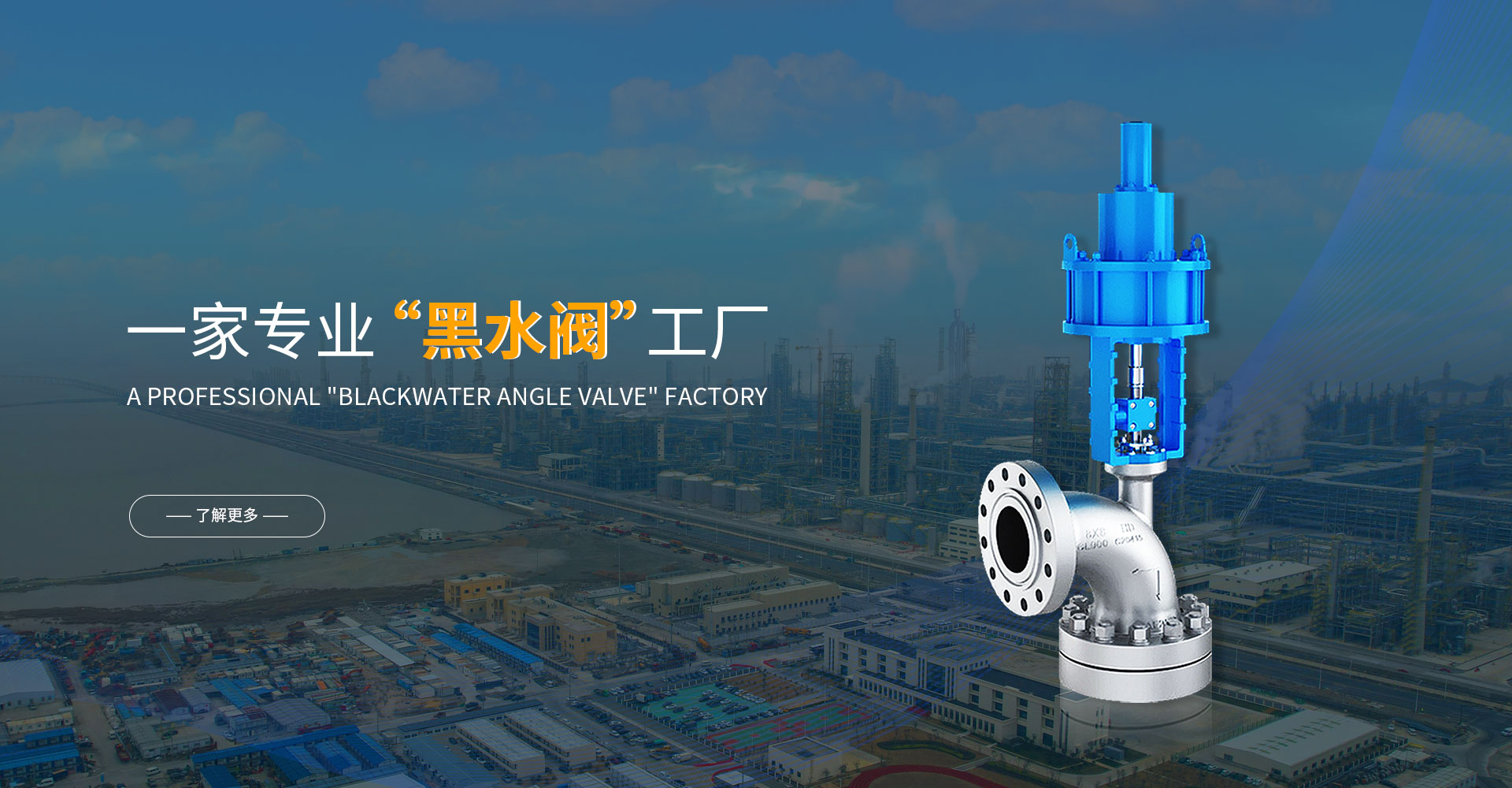 一家專業黑水閥工廠